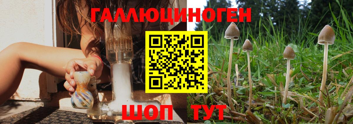 закладки  Вход с VPN  Соликамск  Псилоцибиновые грибы GOLDEN TEACHER 