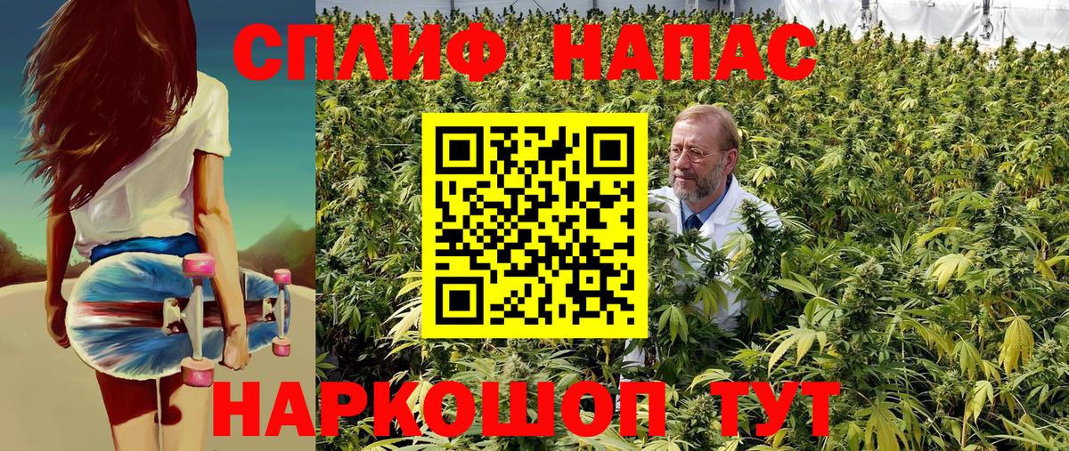Конопля ГИДРОПОН  Вход с VPN  Марихуана MAZAR  Соликамск  Каннабис сатива 